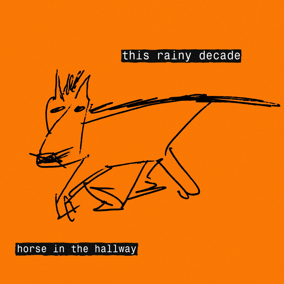 this rainy decade