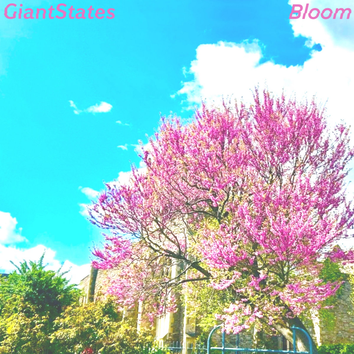 GiantStates - Blossom