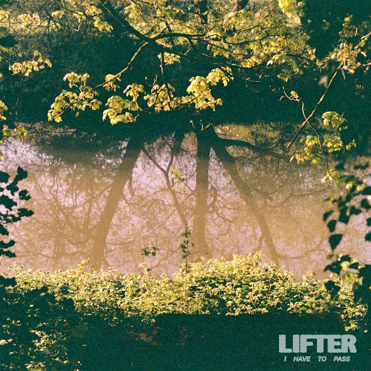 Lifter - I Have to Pass