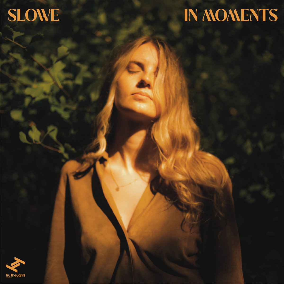 Slowe - Too Much to Ask artwork