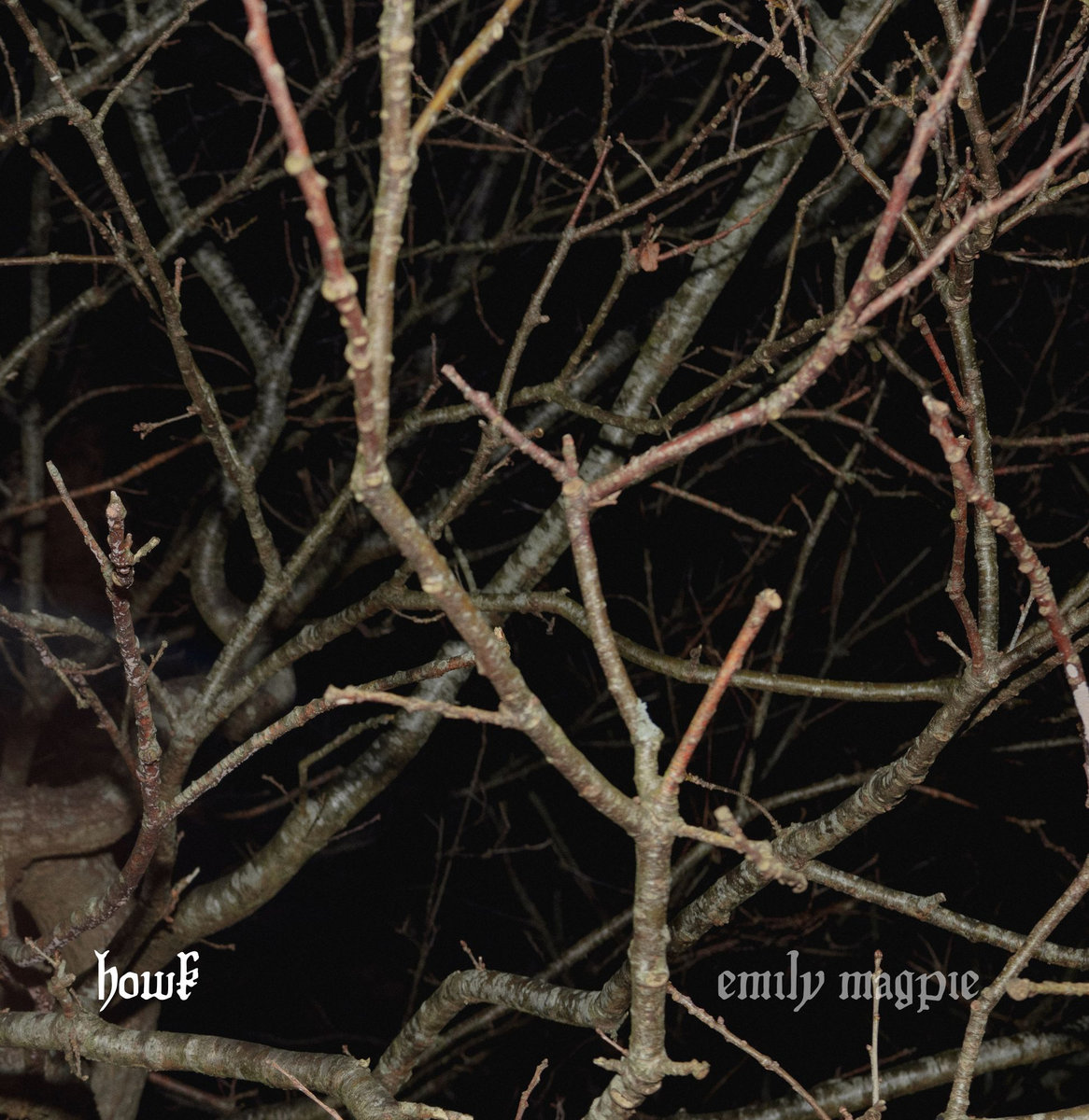 Emily Magpie - Narcissus artwork