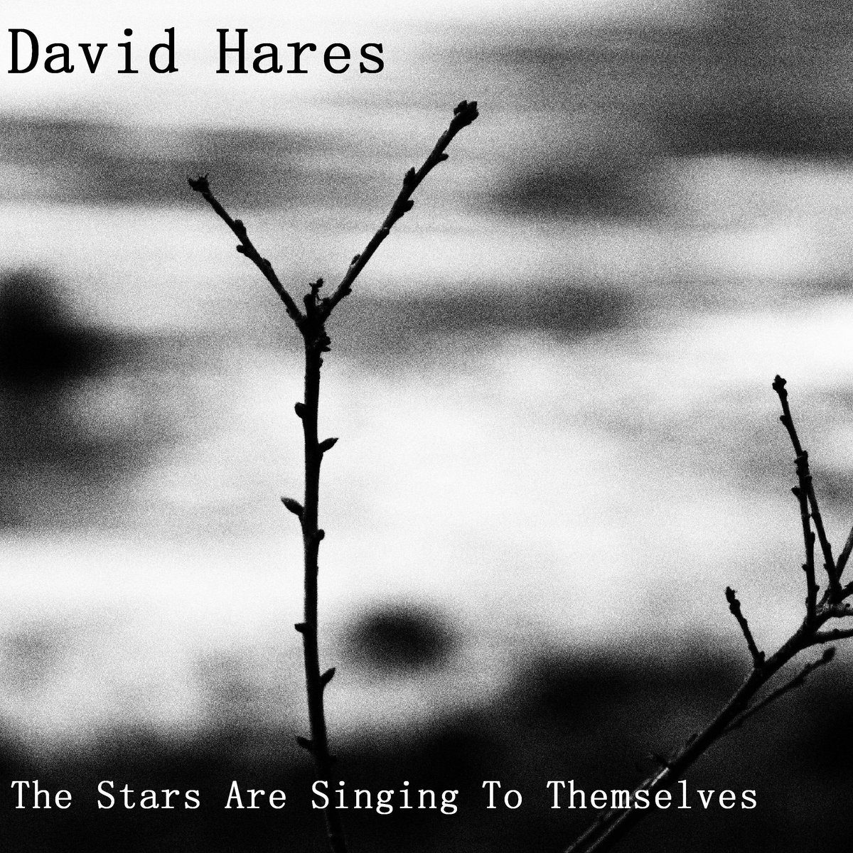 David Hares