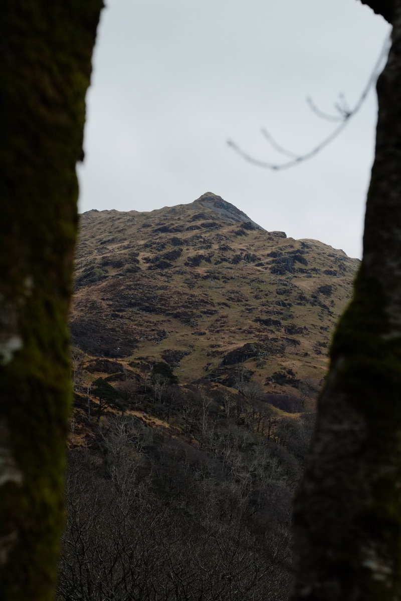 SOLAIR.