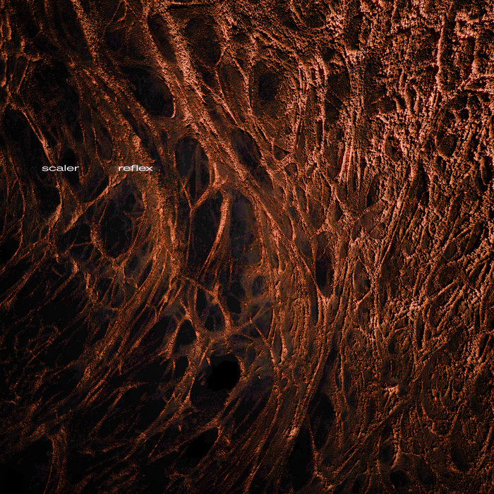 Official artwork for SCALER — Spiral / Reflex