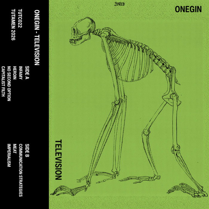 Official artwork for Onegin — Television